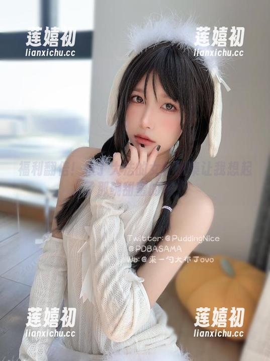 布丁大法 福利翻倍!布丁大法的女仆图集让我想起了那碗甜蜜的布丁