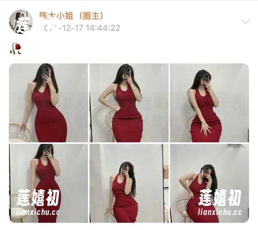 陈大小姐 微密圈 - 陈大小姐的私房图集:打工人表示心累,不如当私人秘书!